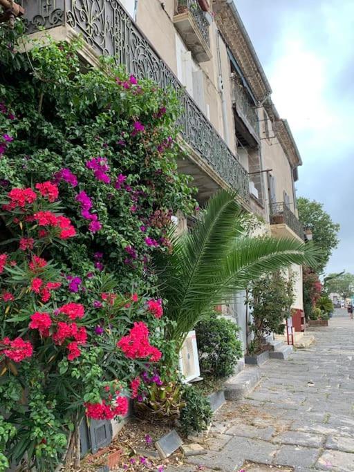 Apartment Holidays Agde